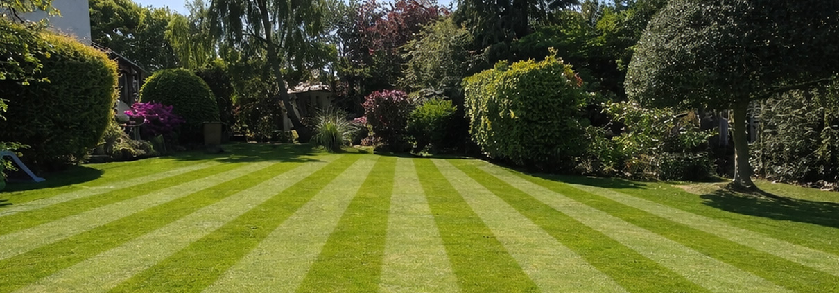 Lawn_Stripes