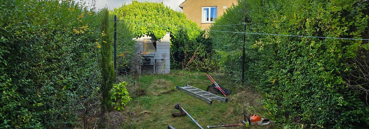 Renovation_Shed_Before